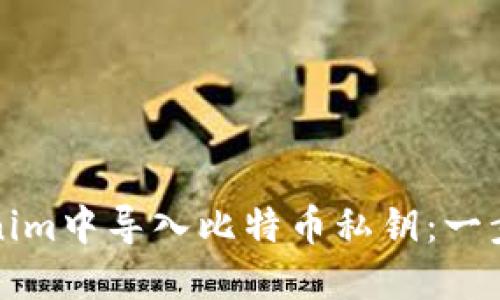 如何在Tokenim中导入比特币私钥：一步一步的指南
