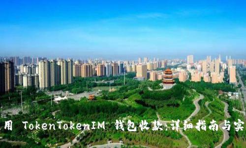 如何使用 TokenTokenIM 钱包收款：详细指南与实用技巧