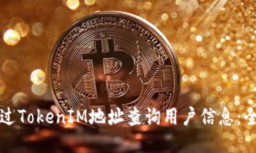 如何通过TokenIM地址查询用户信息：全面指南