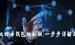 如何导入比特币钱包的私钥：一步步详解与最佳