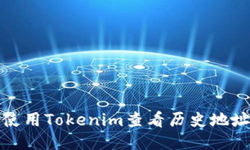 如何使用Tokenim查看历史地址信息