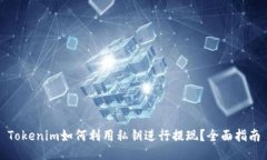 Tokenim如何利用私钥进行提现？全面指南