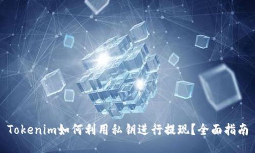 Tokenim如何利用私钥进行提现？全面指南