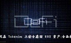 如何在 Tokenim 上安全存储 EOS 资产：全面指南