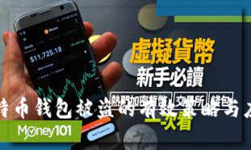 防止比特币钱包被盗的有效策略与应对措施
