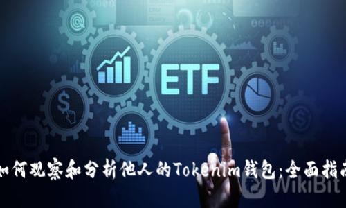如何观察和分析他人的Tokenim钱包：全面指南