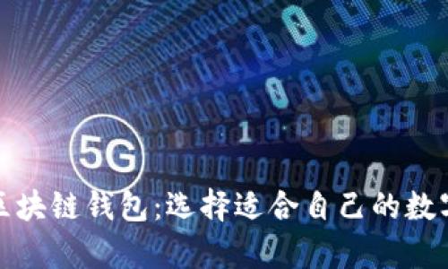 全面解析主流区块链钱包：选择适合自己的数字货币管理工具