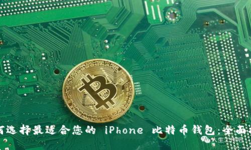 如何选择最适合您的 iPhone 比特币钱包：全面指南