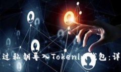 如何通过私钥导入Tokenim钱包：详细指南