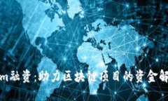 Tokenim融资：助力区块链项目的资金解决方案