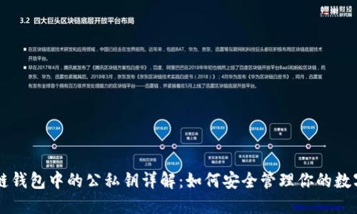 区块链钱包中的公私钥详解：如何安全管理你的数字资产