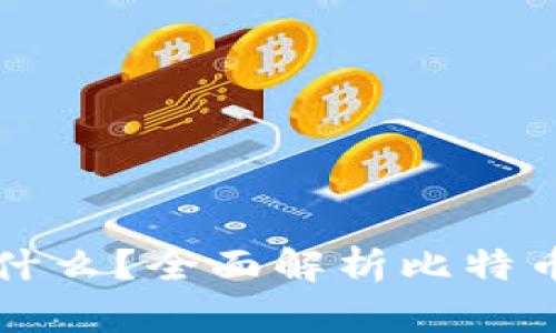 比特币钱包存的是什么？全面解析比特币的钱包类型与功能