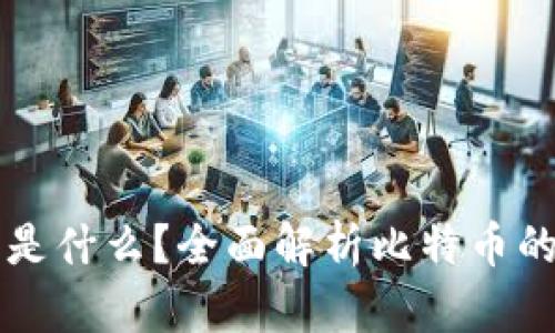 比特币钱包存的是什么？全面解析比特币的钱包类型与功能