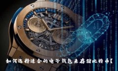如何选择适合的电子钱包来存储比特币？