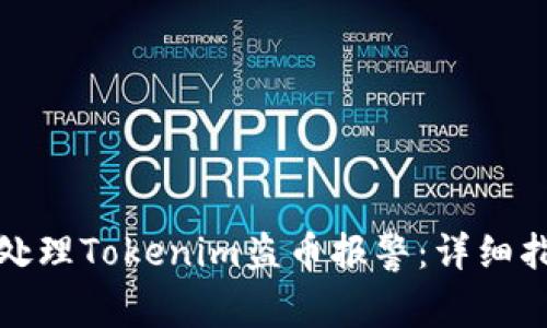 如何有效处理Tokenim盗币报警：详细指南与建议