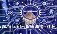 如何有效处理Tokenim盗币报警：详细指南与建议