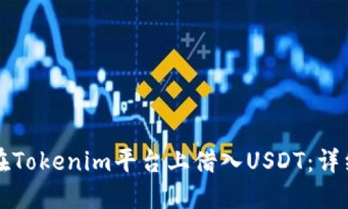 如何在Tokenim平台上借入USDT：详细指南
