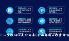 Tokenim空投Bite是什么币？全面解析与投资价值分析
