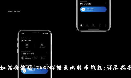 如何将波场（TRON）转至比特币钱包：详尽指南