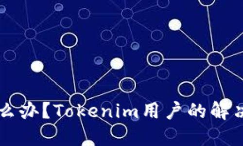 手机坏了怎么办？Tokenim用户的解决方案与建议